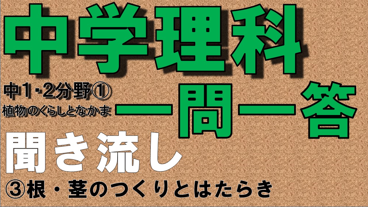 中学1年理科２分野　一問一答　根・茎のつくりとはたらき